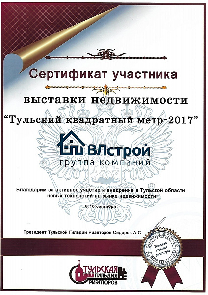 Сертификат участника Метр-2017.jpg